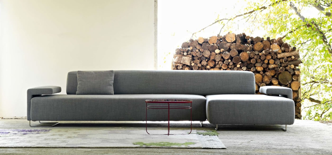 Lowland Moroso