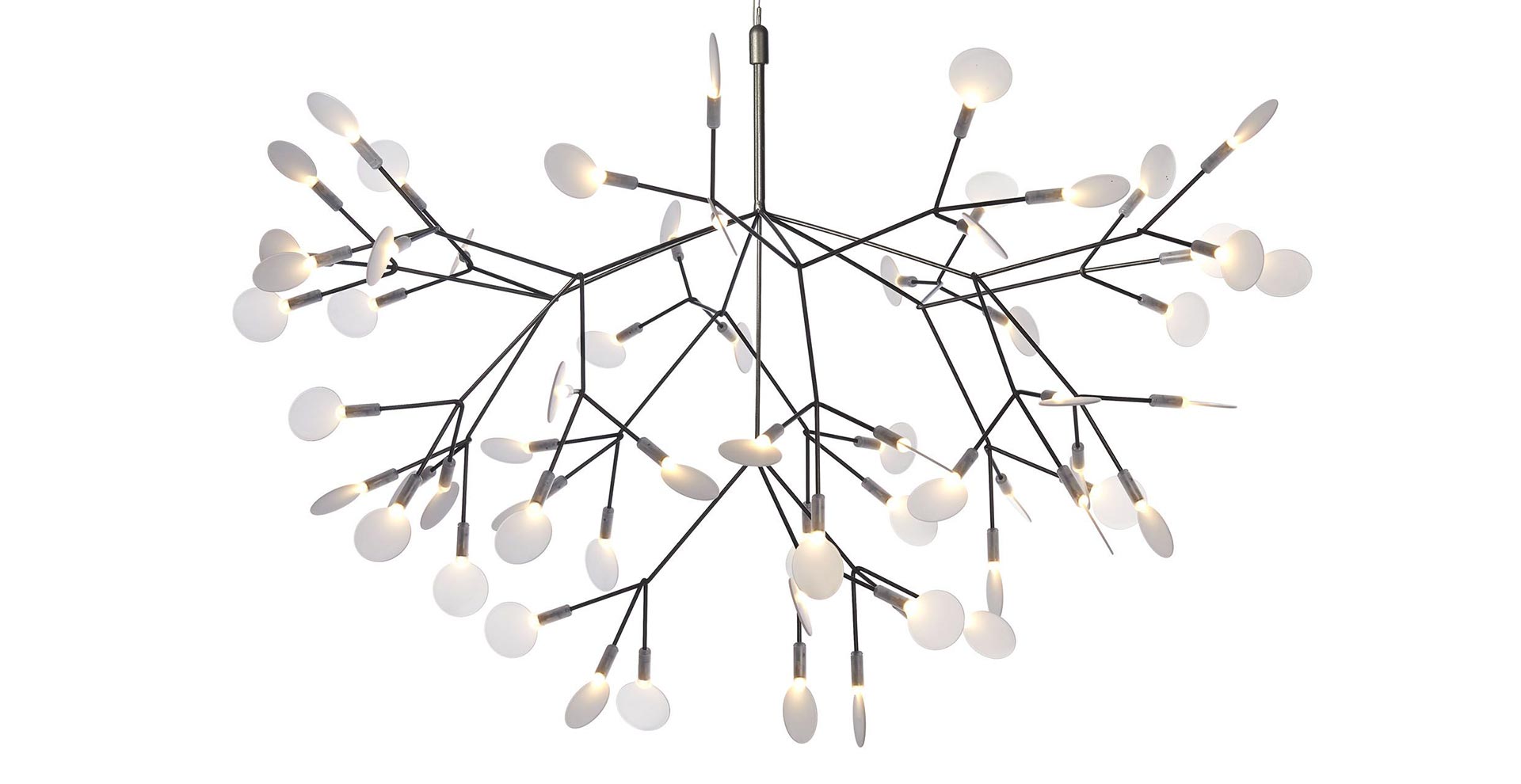 Heracleum III Moooi