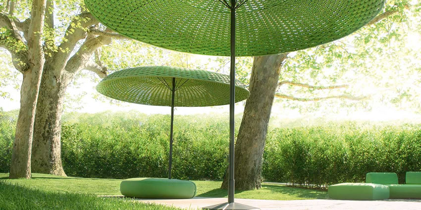 Mogambo Paola Lenti