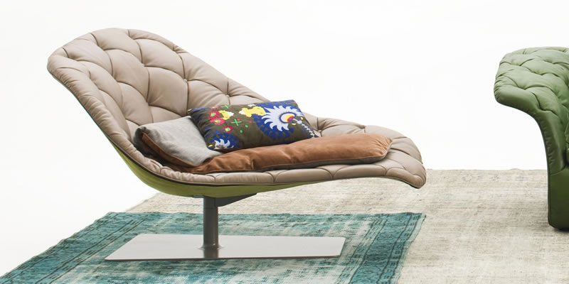 Bohemian Moroso